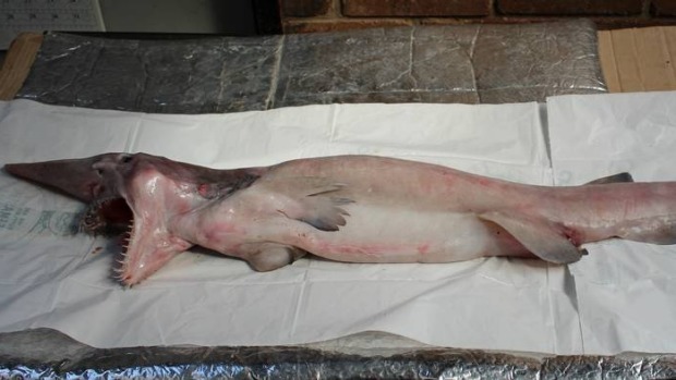 ��������ѧ��Ϊ��ŷ�ϼ����ޡ���ͨ��������1200������ĺ���