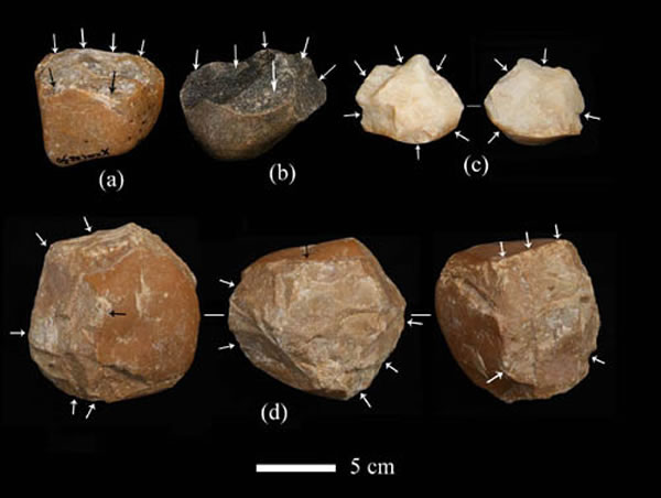 ͼ2  2AصַĿ(a, b, c) Ͷʯ(d)(Ĺͼ)