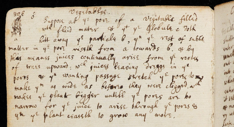 �����ˡ�ţ�������͸ߴ����ľ���ɼ�����սʤ������������ˮ�����͵���Ҷ����