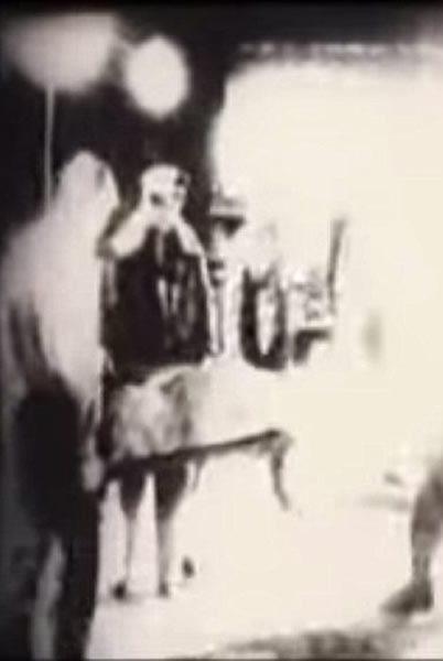 һƪɵ־³ƣĵԱѾ˴ڵ֤ݣǹ51ȷʵ˵ͼ