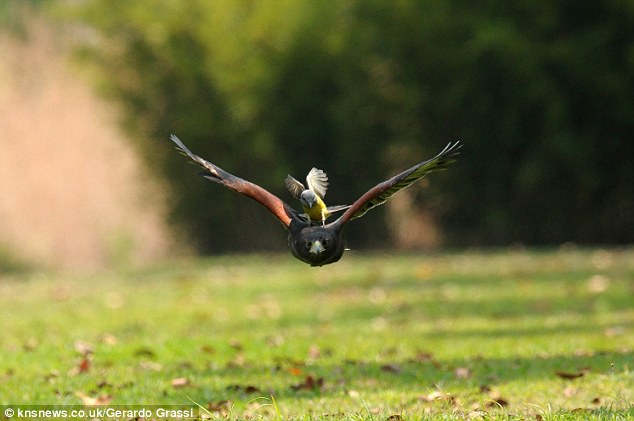 ߶һֻС񾹵ӥıϴ㳵