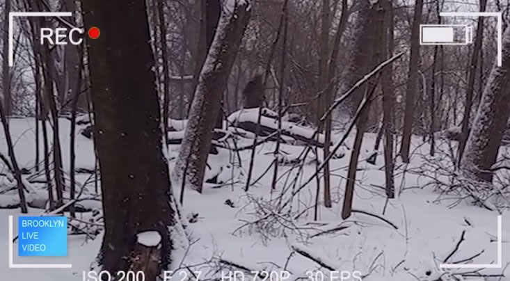 美国布鲁克林展望公园拍到神秘人形“大脚怪”