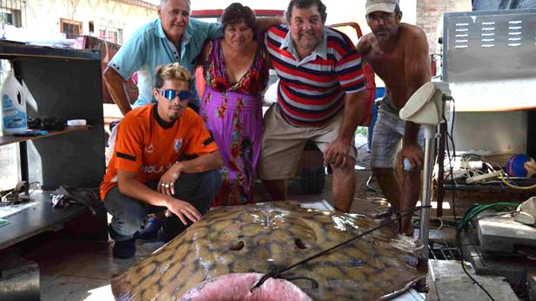 乌拉圭3名渔夫在该国近海岸处捕捞到一条号称“魔鬼鱼”的巨型蝠鲼