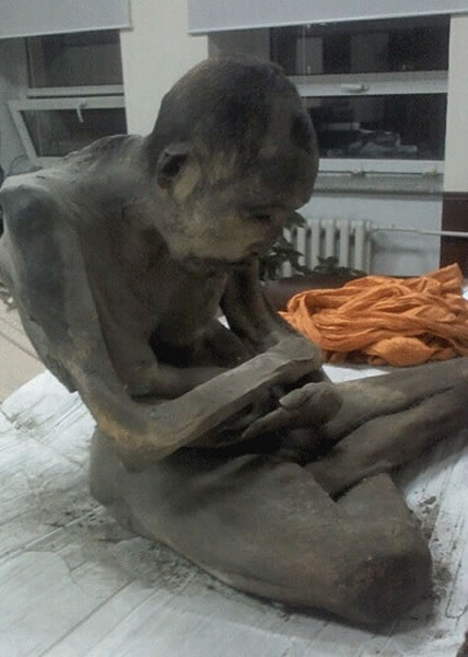 该具干尸呈盘膝而坐的姿势,并没有腐烂迹象。