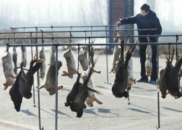 �̷���Ұ�á�Ұ�������ڼ����ϣ����˿���ѡ��