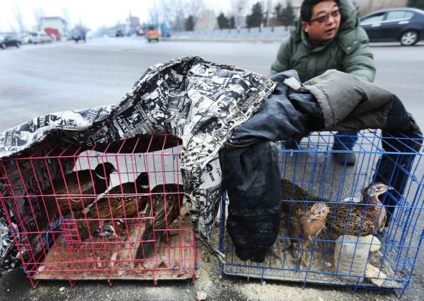 ·�߰ڷŵ�����װ��Ұ����ר����Ϊֱ�ӽӴ�������Ⱦ�����ա�