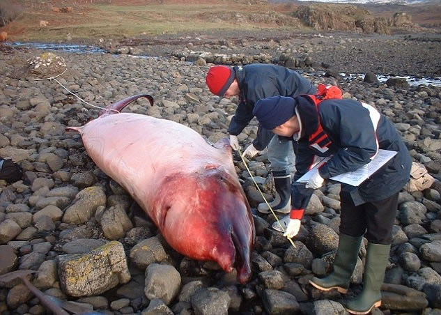 ��ȥ������ո����Ͱ���������ƵƵ�к���(ͼ)�;����ǳ��(����ͼƬ)