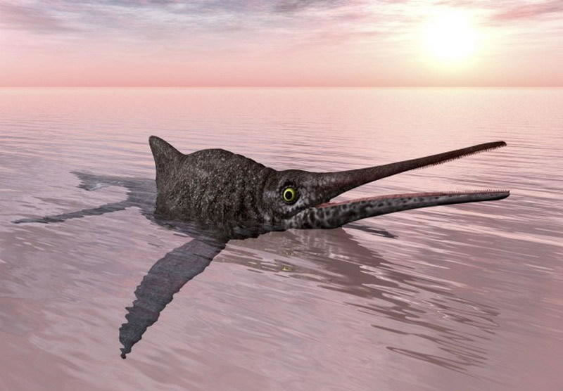 鱼龙进化缺失环节