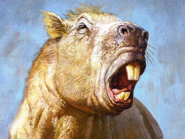 Josephoartigasia monesi�������ֵ����Ļ�ʯ�����ද��