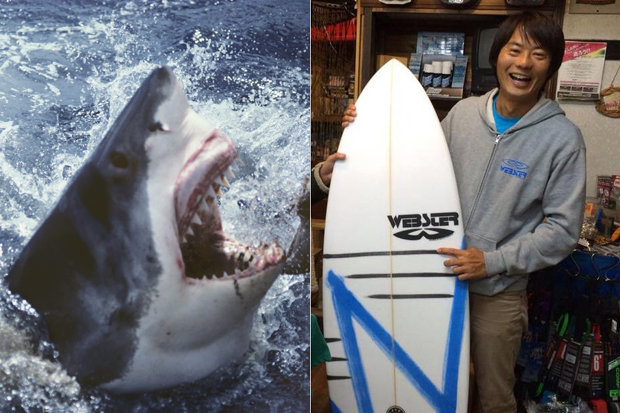 ޻ƽ𺣰ַ㹥¼ ձӲɥ