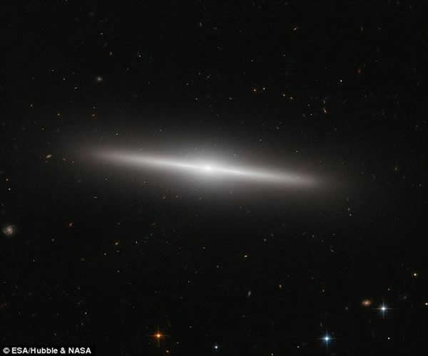 ڱµЩʱֻһƬչʾһǳصϵIC 335ѧΪһϵо˽γɵġ