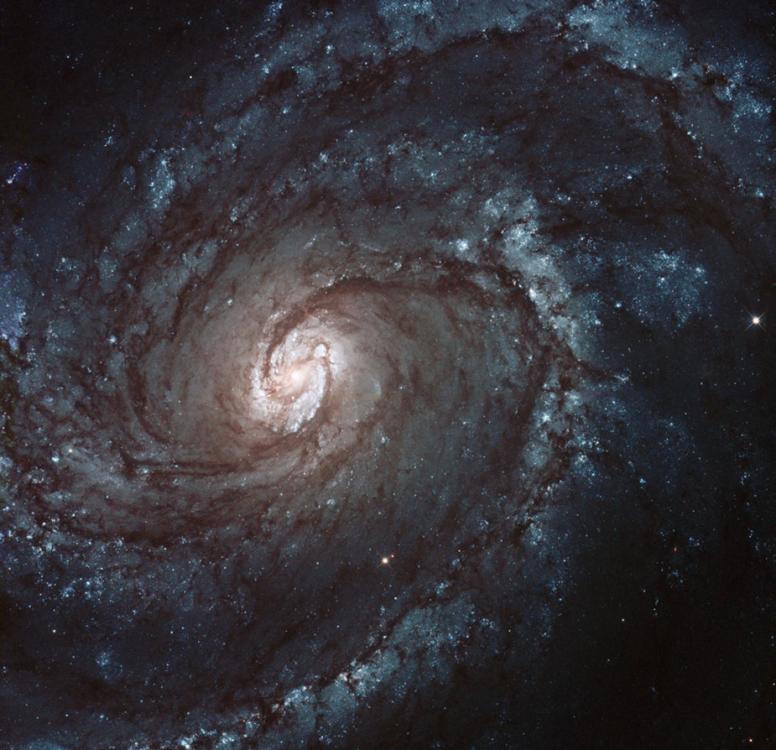 ַһŮϵϵM100ͼƬ