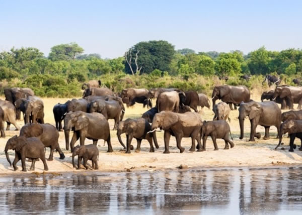 ������ҹ�԰���27ֻ���������й����ܶ���Ȩ������ں䡣