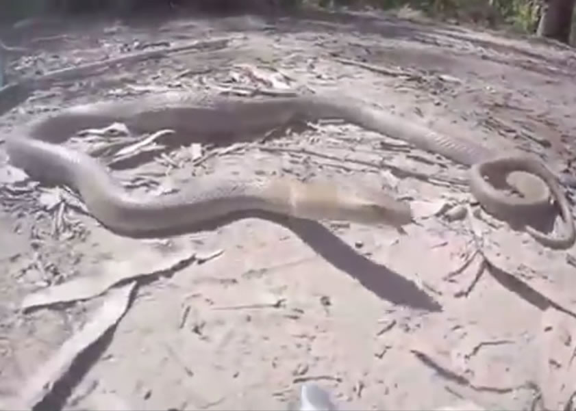 ��Ӱʦ���㶫�����ߵ��ټ�