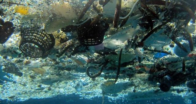 оԱƣÿԼ뺣󣬶һԽԽҡ