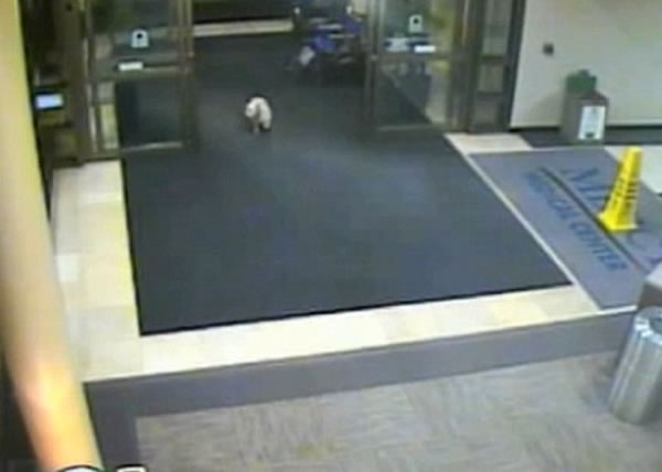 Cissy之前未曾到过该所医院