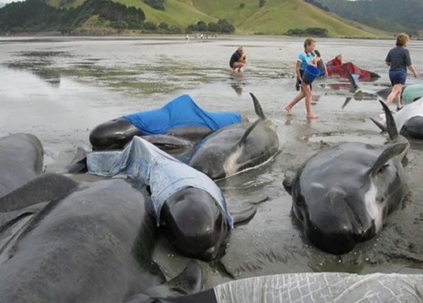 ���198���캽�����ձ����ּ����ǳ