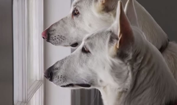 ����һ�����ǵصȴ�����