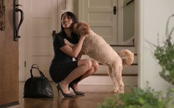 �������˻ؼ��ˣ������ÿ��ġ�