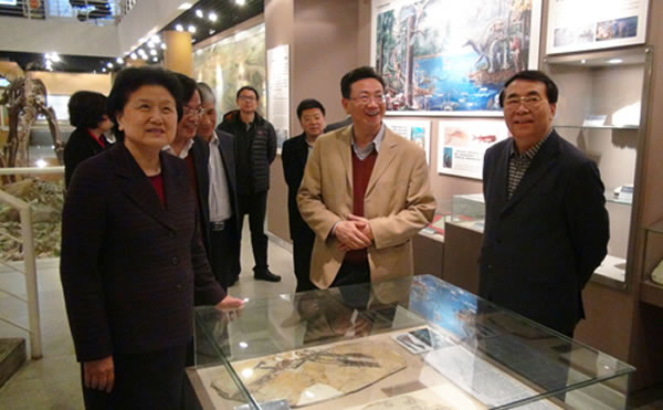 参观中国古动物馆热河生物群展区