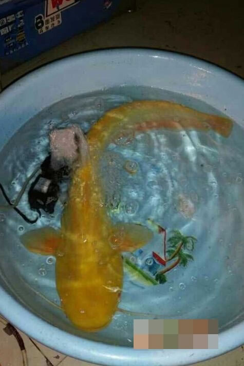 ����ұ�ʾԸ��ǧԪ�չ�������