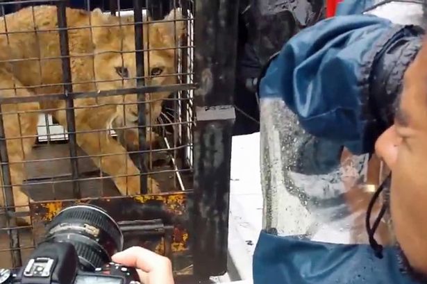 ��ʨԭ�����ھ�19�껳����Ů����������