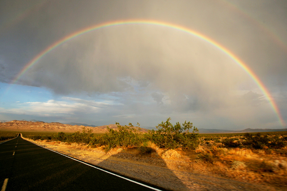 �������л����ںܶ��ַǳ�����Ĺ�ѧ����