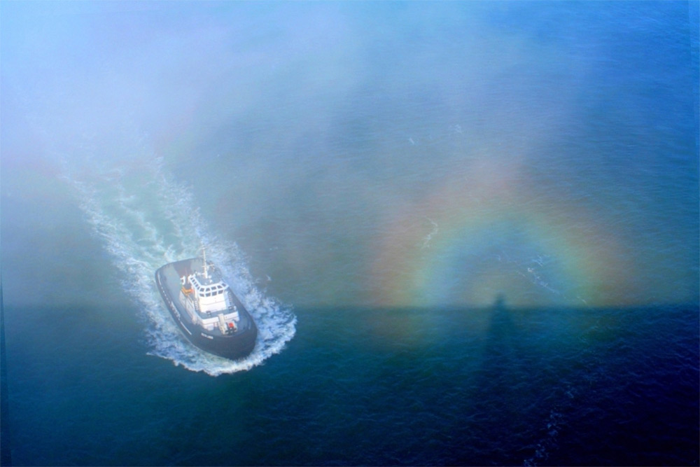 �������л����ںܶ��ַǳ�����Ĺ�ѧ����