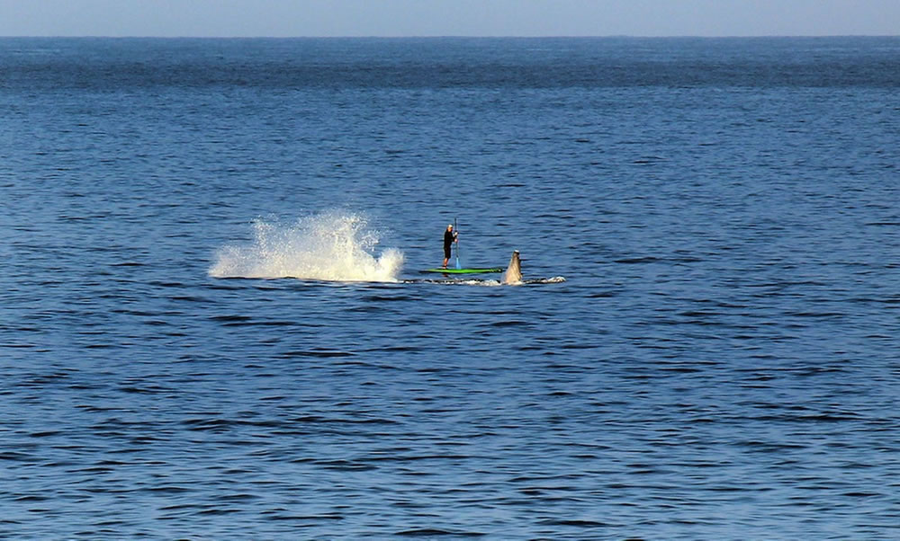 �����ĺ�����ͷ���������������󻮽��������ھ�����