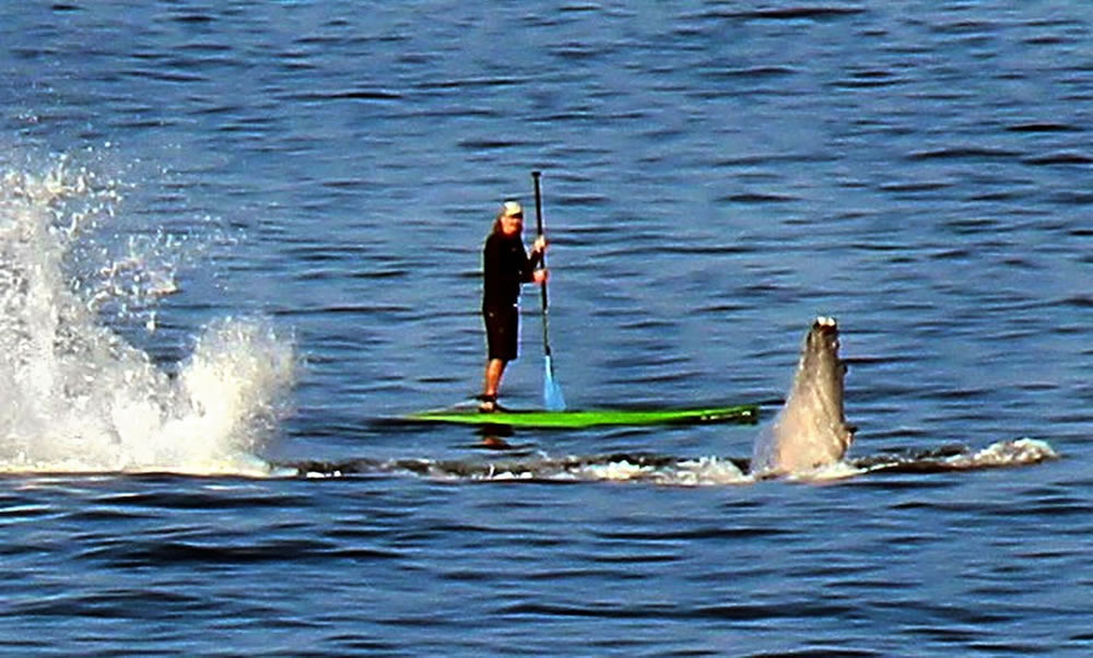 �����ĺ�����ͷ���������������󻮽��������ھ�����