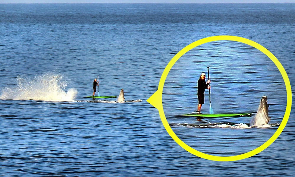 �����ĺ�����ͷ���������������󻮽��������ھ�����