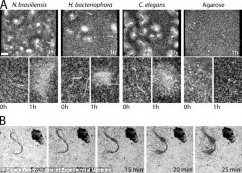 ڽеϸ֮ǰ߳һֱУʵУǻе߳֬Ǿۺ;ķϩ飬ʵڲǷ