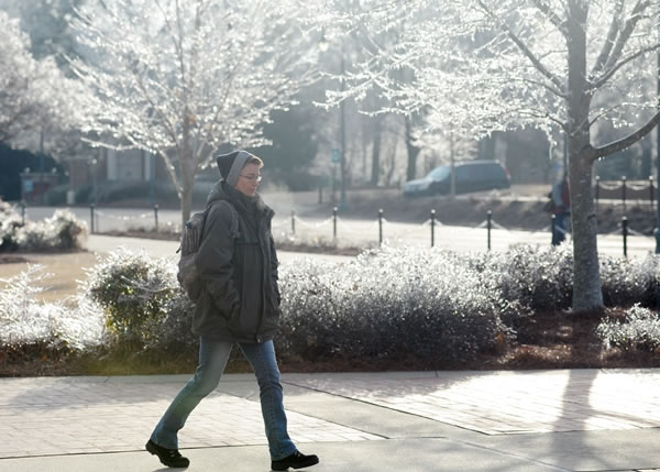 树叶在低温下结冰,途人走过甚有诗意。
