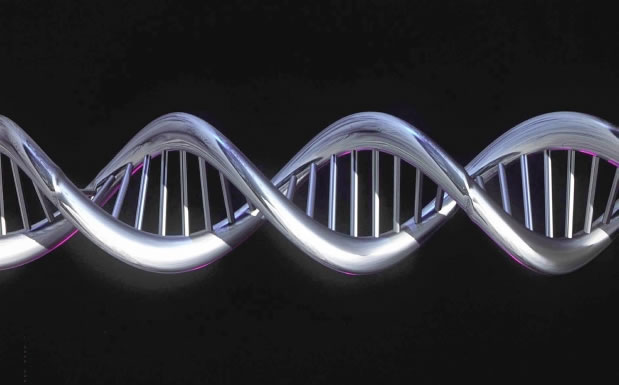 ����ٲ�����¶������Ѷ�ĸ��ӣ���͹�Խ���������ս��