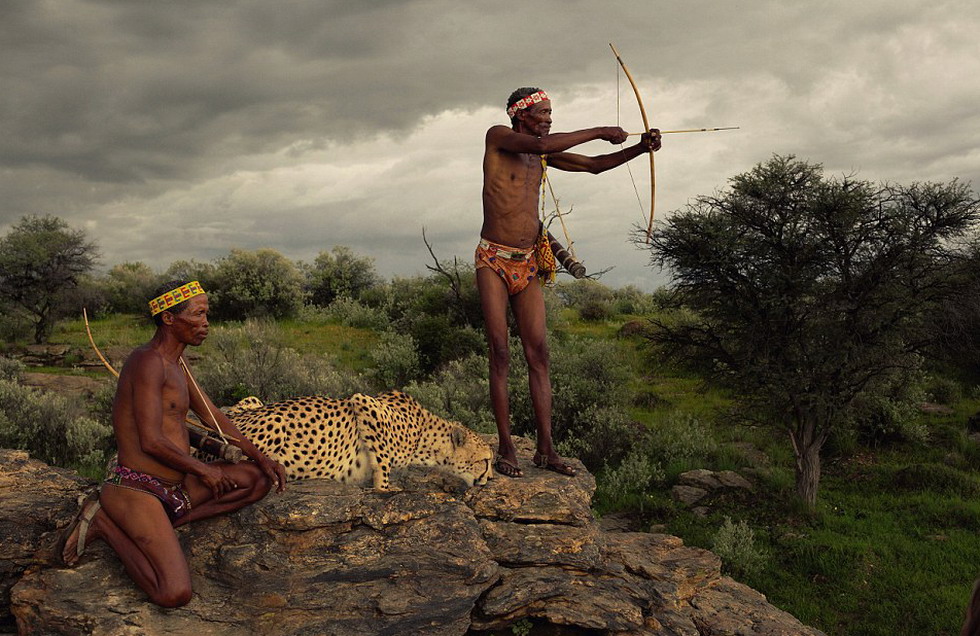探秘非洲原始部族,猎手持弓箭与猎豹作伴。