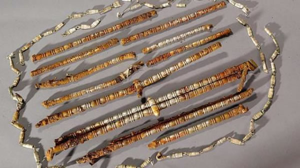 德国男子在丛林中探得蛮族宝藏并进行非法挖掘