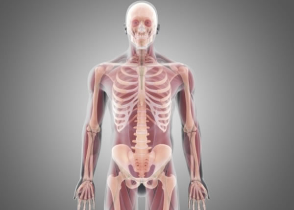 卡纳韦罗声称2年内可实现人头移植手术