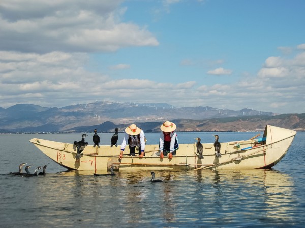 地质学家在中国云南省的洱海探查