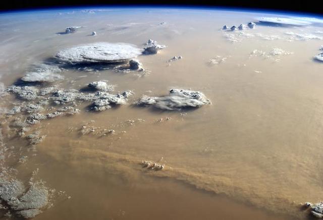 ����������ɳĮ�ĳ���Ϊ�����������ֲ���ṩ��Ҫ��Ӫ����