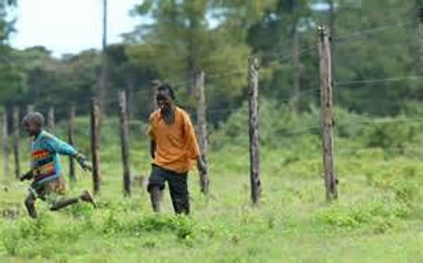肯尼亚为野生动物建电围栏