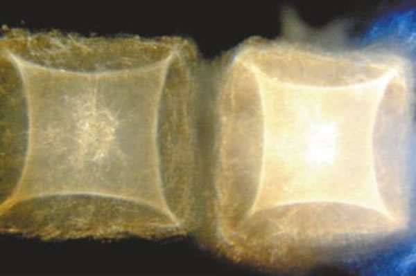 河南省汝州市骑岭乡安庄村有年寺出现奇事:看到似电影银幕的神秘亮光