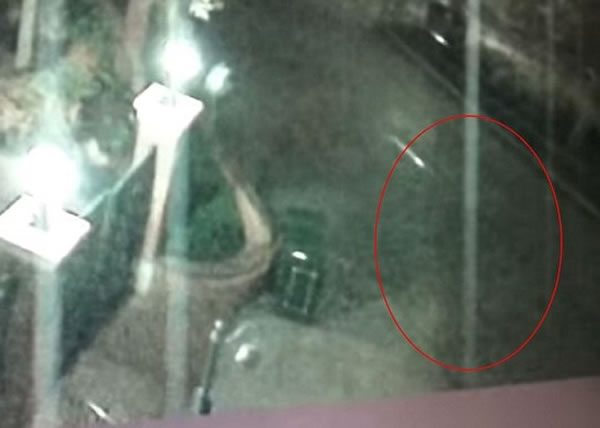 ƬеĹ꣨Ȧ԰ĴƮƺ԰ڲιۡ