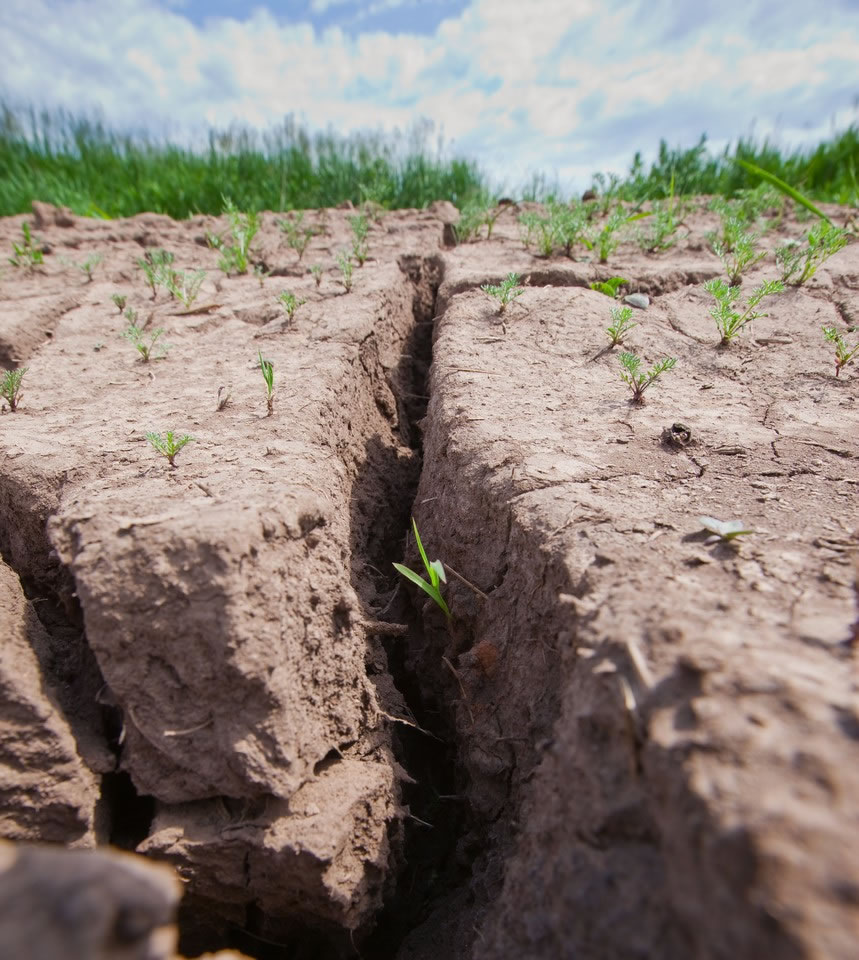 全球变暖与导致目前美国加利福尼亚干旱的温暖而干燥的环境的概率之间存在联系