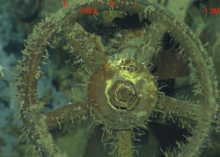 疑为武藏号的部件,已布满海草。
