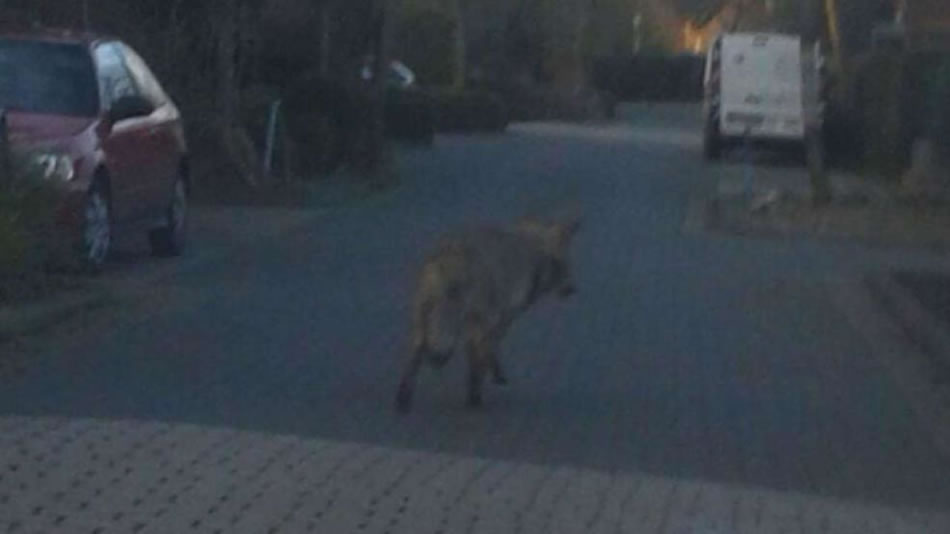 ��Ұ���뿪ǰ�����ݶ����ֻ�������������Ӱ��