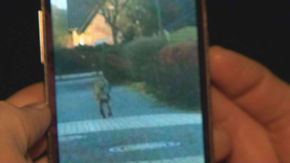 ��Ұ���뿪ǰ�����ݶ����ֻ�������������Ӱ��