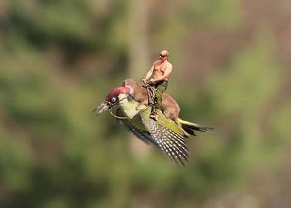 许多网民拿照片改图,例如让俄罗斯总统普京骑在鼬鼠身上。