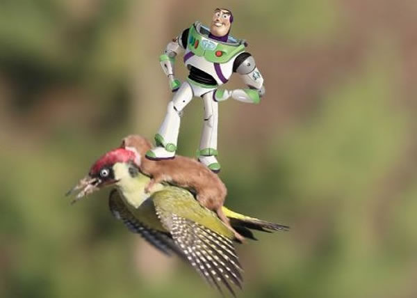 卡通人物巴斯光年骑在鼬鼠身上,威风凛凛。