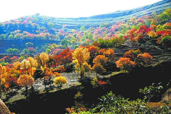 中国第一块旧石器出土地甘肃华池县地貌