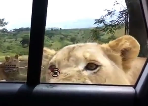 ĸʨ�߽�������������̽ͷ������